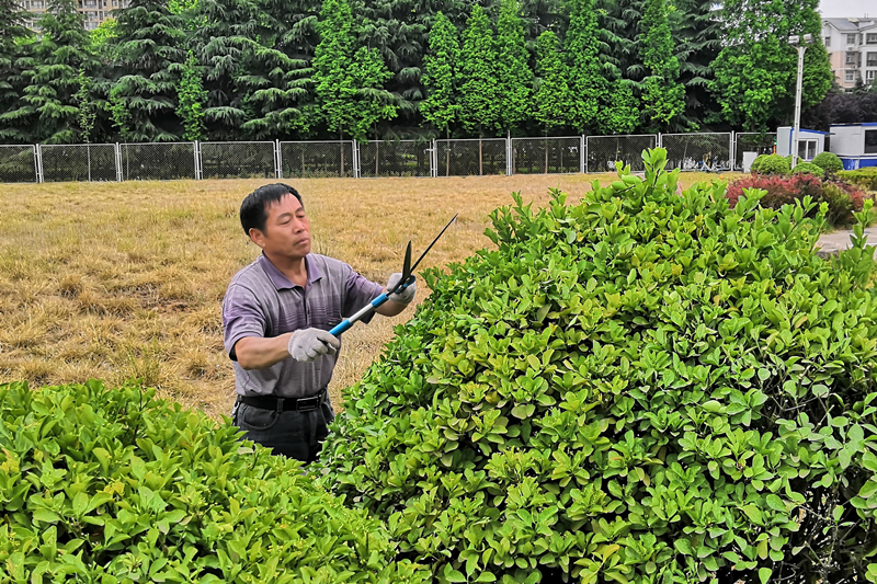 用汗水梳洗著(zhù)園區的容貌