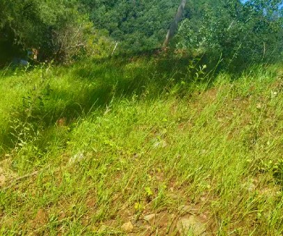 柳關(guān)欒盧鉛鋅礦|治理排土“瘡疤”，繪就綠色畫卷